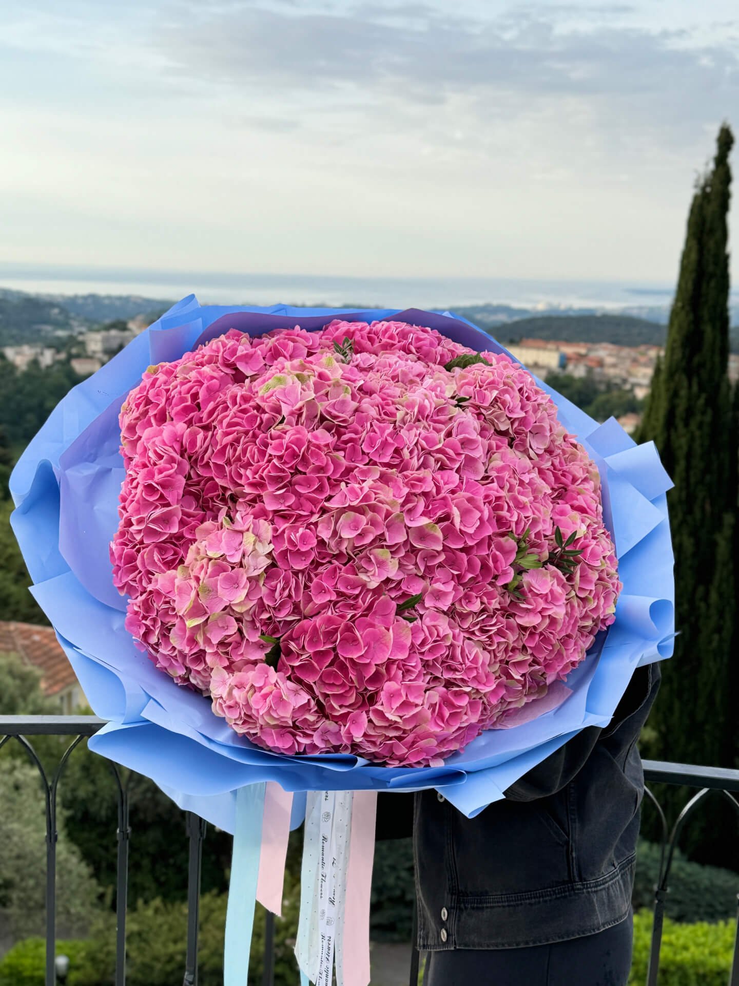 Composition Pink Sunset