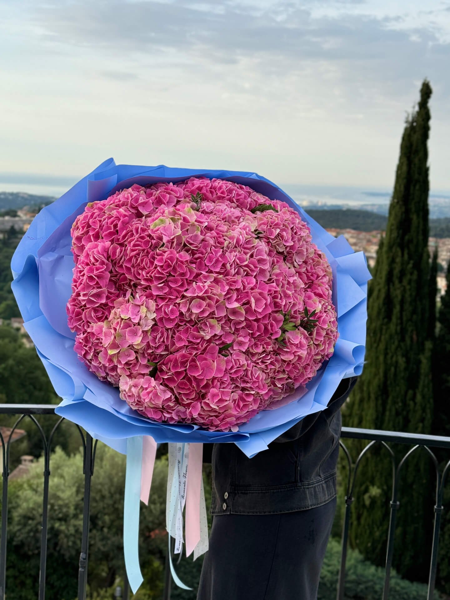 Composition Pink Sunset - Image 2