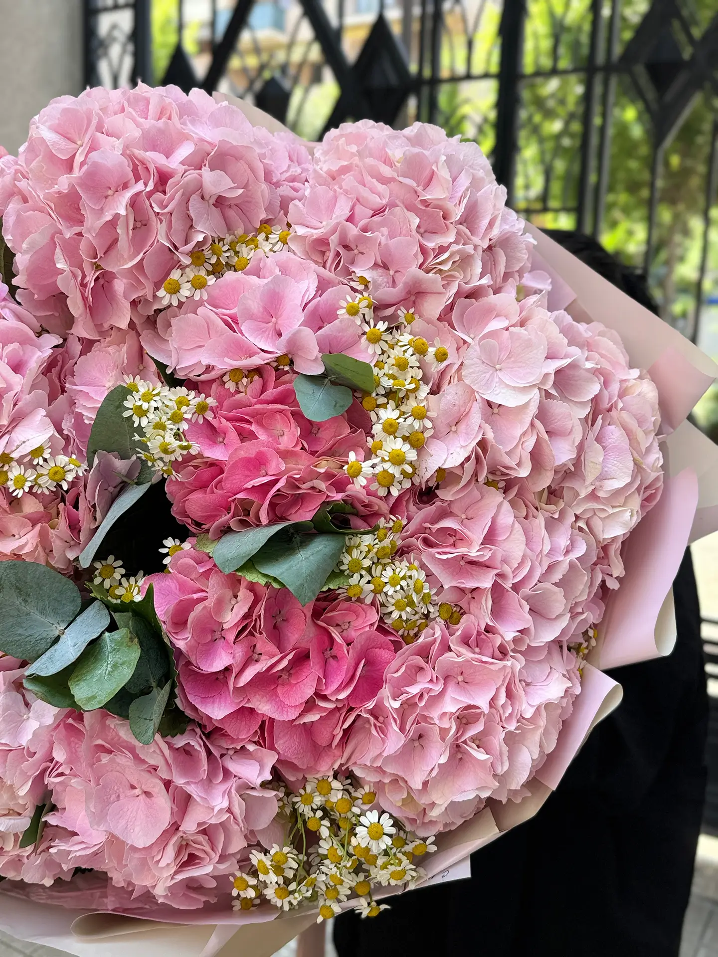 The pink cloud - Image 2