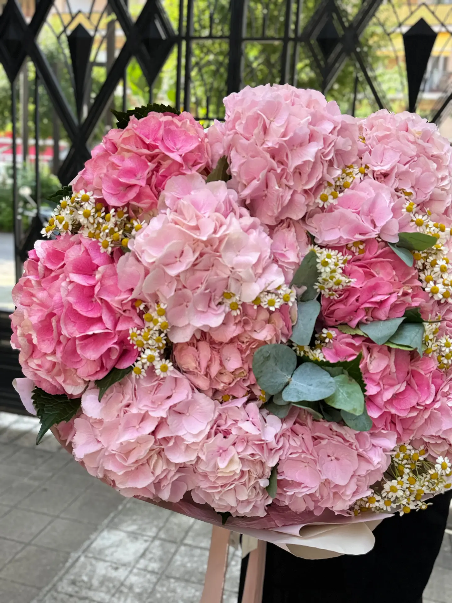 The pink cloud - Image 3