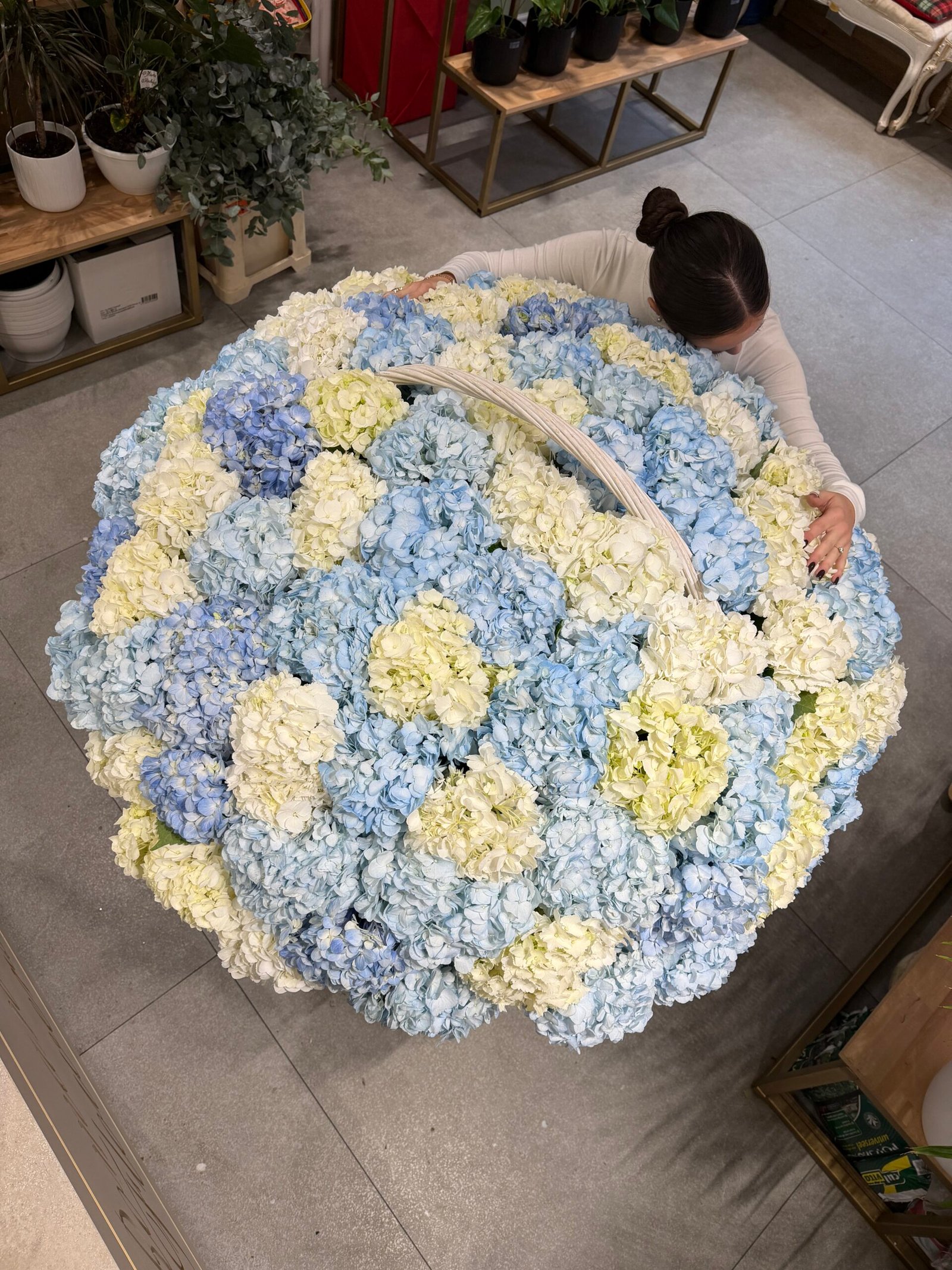 Grande Composition – Hortensias de Luxe