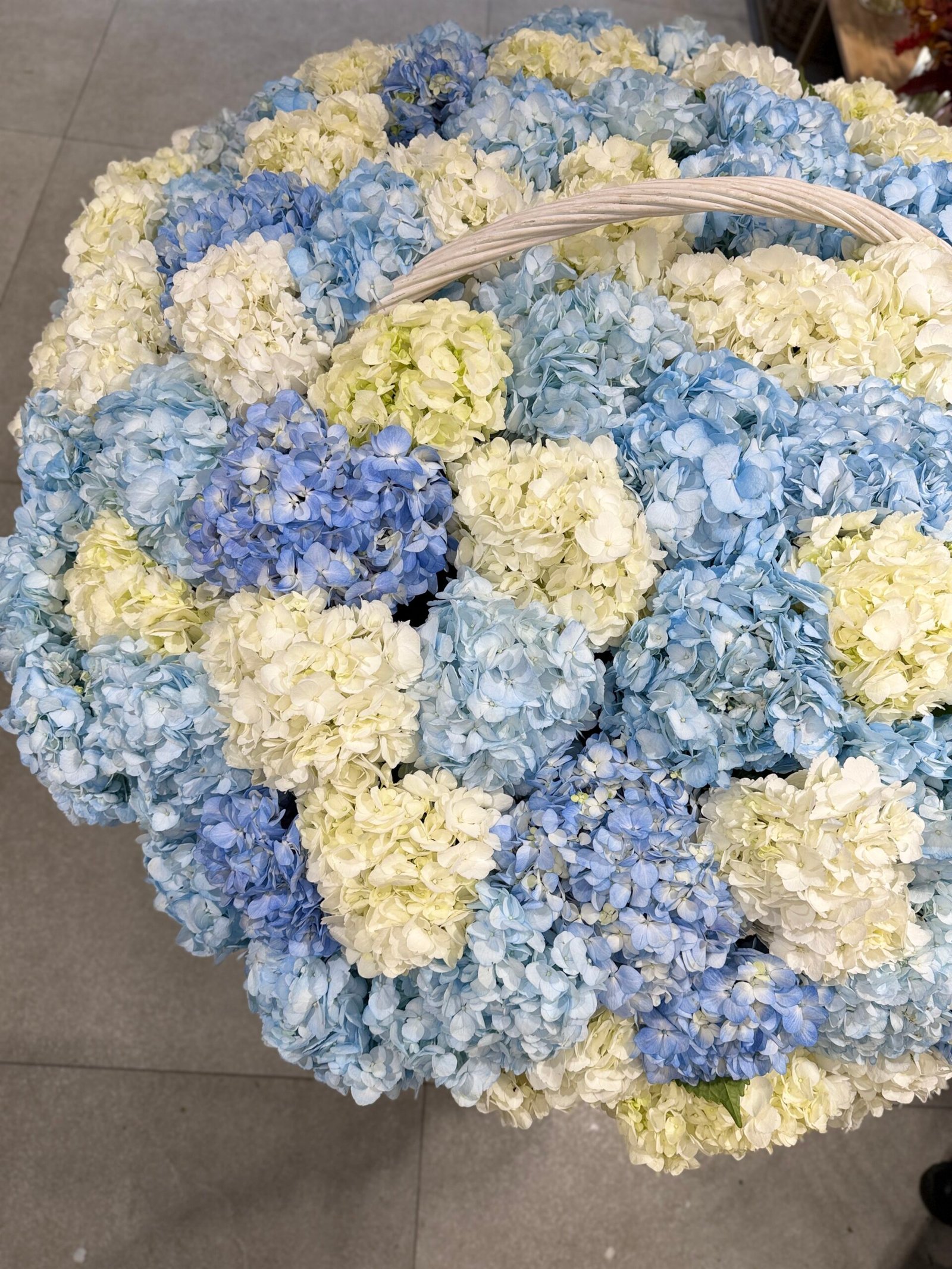 Grande Composition – Hortensias de Luxe - Image 2