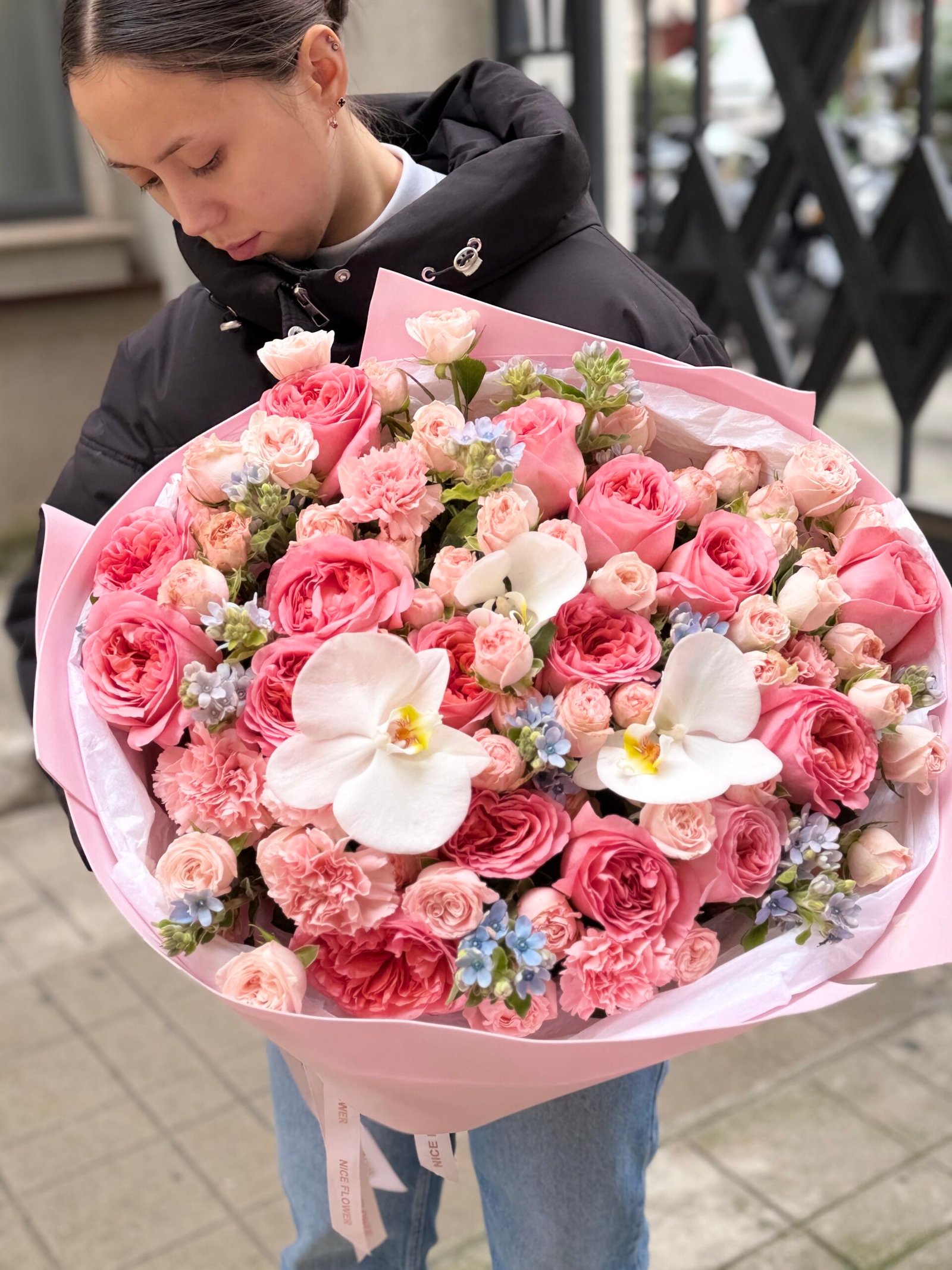 Douce Harmonie - Image 3