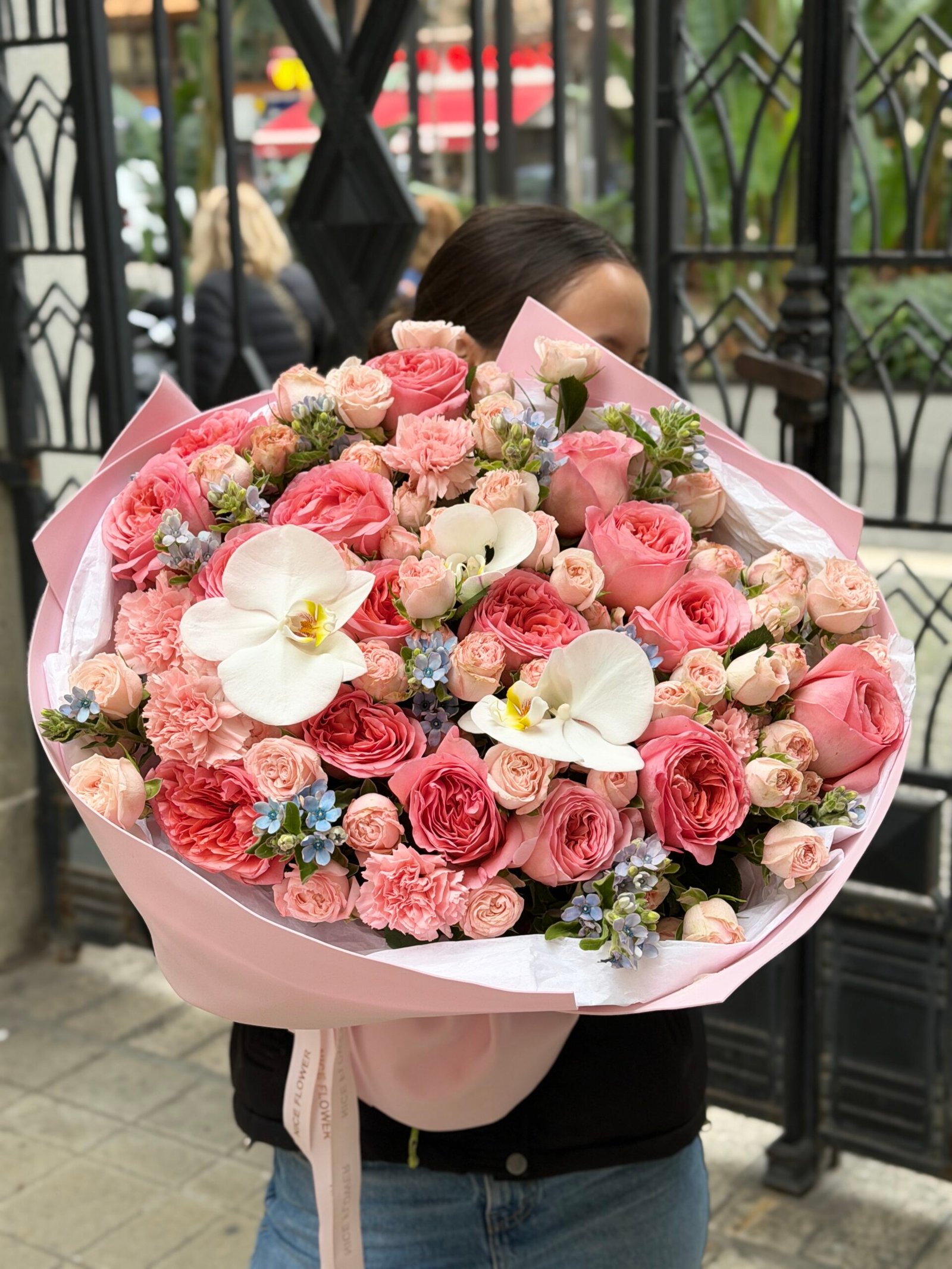 Douce Harmonie - Image 4